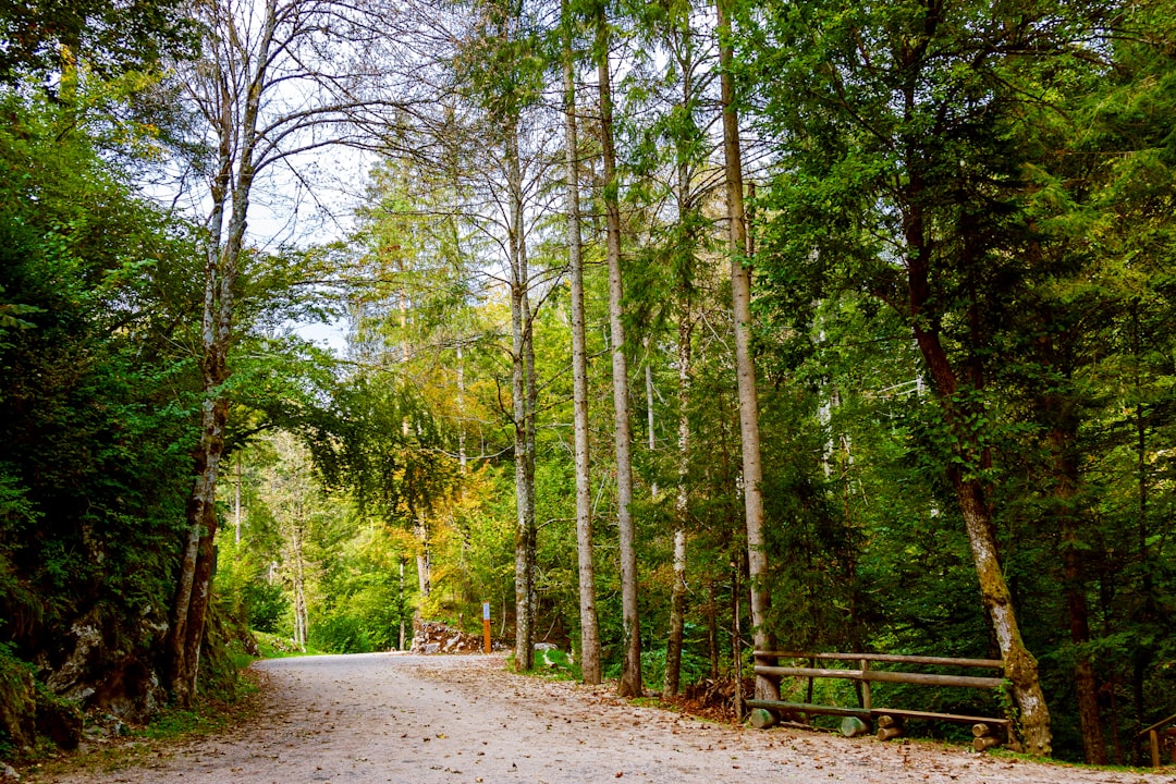 Nature’s Therapy: How Outdoor Adventures Boost Mental Well-being